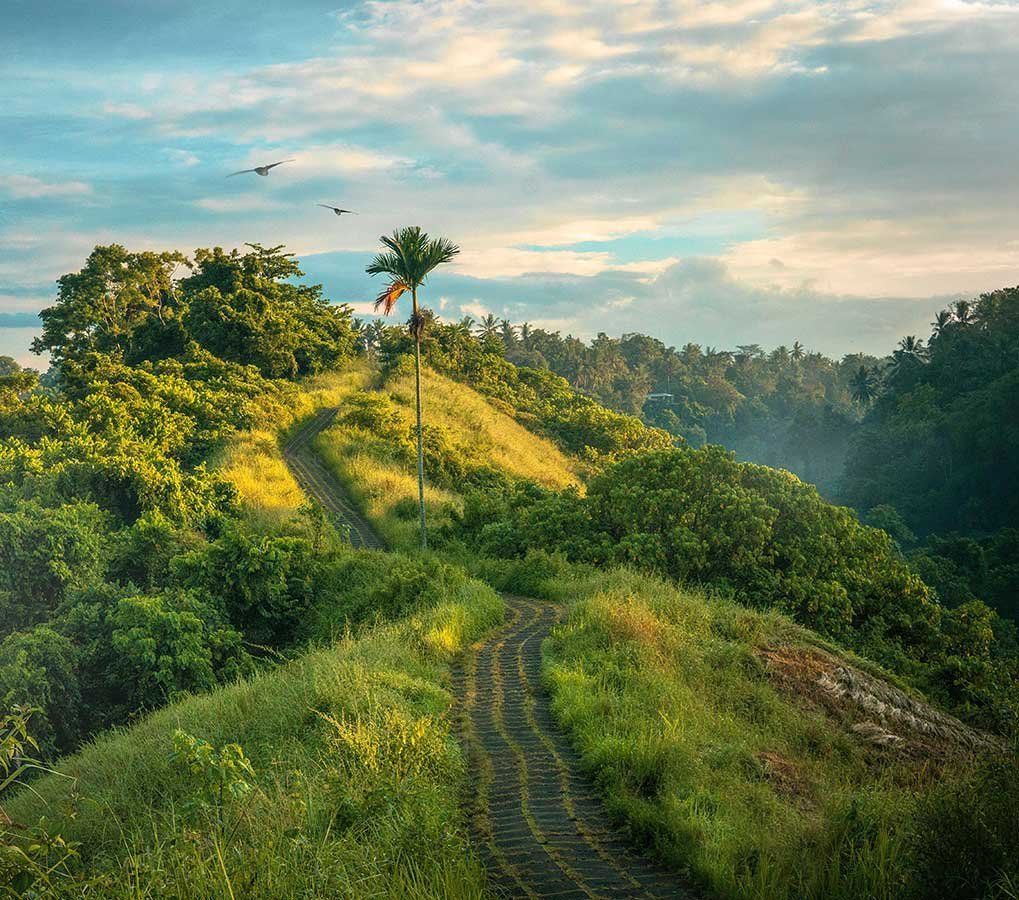 Welcome to VOYATICA Holidays